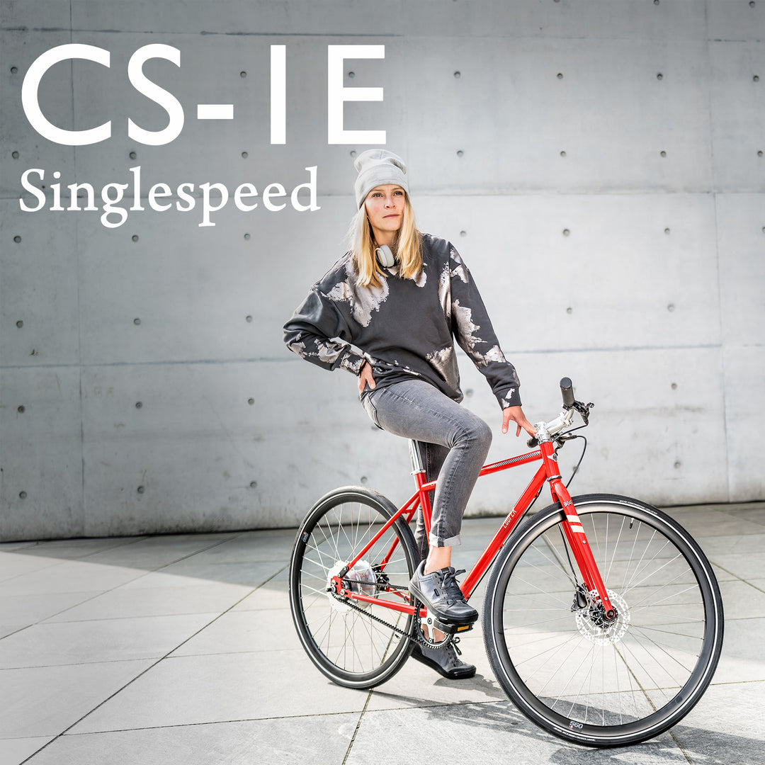 Single speed randonneur discount